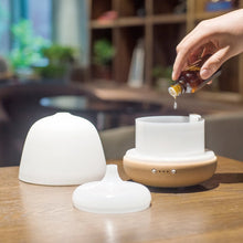 Load image into Gallery viewer, SOICARE Mia nut ceramic aroma diffuser
